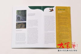 設(shè)計(jì)師Carolina Medeiros的書籍設(shè)計(jì)藝術(shù)及其對室內(nèi)外平面圖文設(shè)計(jì)的啟示——以重慶、成都家裝飾設(shè)計(jì)師培訓(xùn)為參考