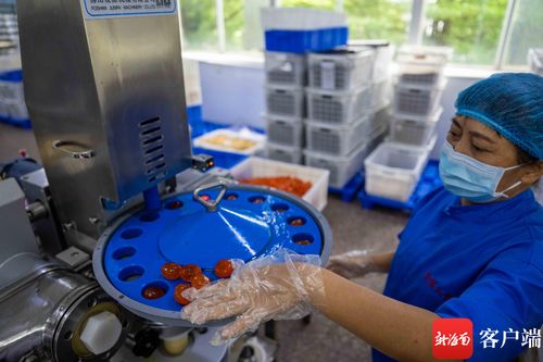 原創(chuàng)組圖丨中秋將至 海口這個(gè)食品廠開足馬力生產(chǎn)月餅